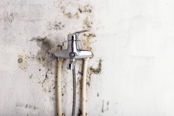 Best Black Mold Remediation in Vinings, GA